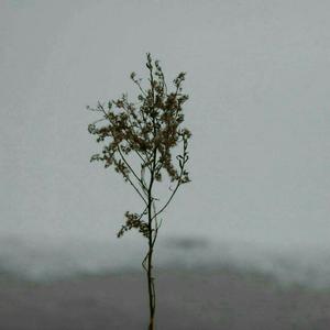 乌克兰惊艳大片视频
